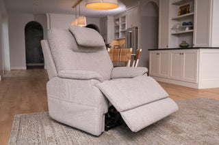 Zecliner Model 1 Fabric Power Sleep Recliner with Power Headrest & Lumbar