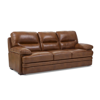 David Leather Sofa