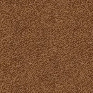 Emilia 2-Piece Sectional Loveseat Leather
