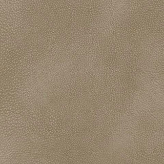 Next-Gen Durapella Power Lift Recliner Microfiber