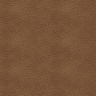 Bolsena Sofa Leather