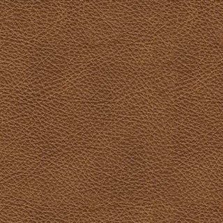 Carianna Loveseat Leather