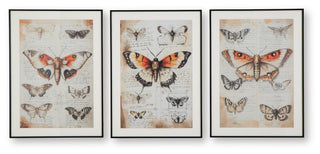 Jossletts Wall Art Set (3/CN)