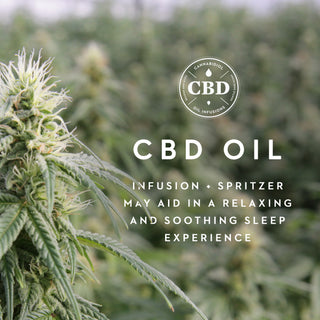 Zoned Dough® + CBD Oil Shoulder Pillow