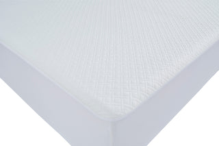 Basic Protector QN Mattress Protector(4/CS)