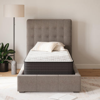 Limited Edition Plush Queen Mattress
