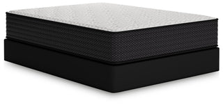 Limited Edition Plush Queen Mattress