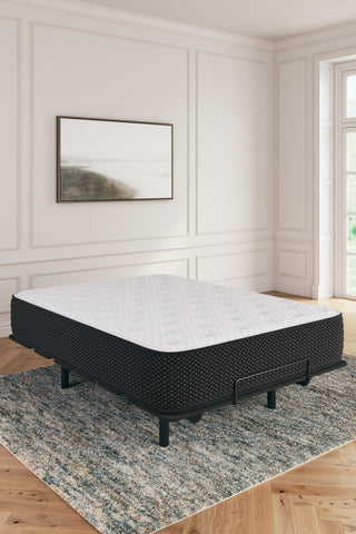 Limited Edition Plush Queen Mattress