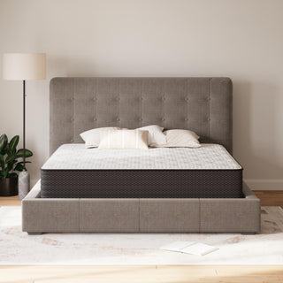 Limited Edition Plush Queen Mattress
