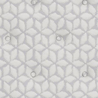 Limited Edition PT Queen Mattress