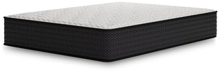 Limited Edition PT Queen Mattress