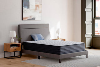 Anniversary Edition Firm Twin Mattress