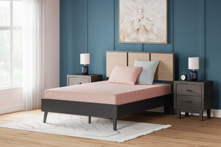 iKidz Coral Twin Mattress and Pillow 2/CN