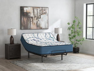 Limited Edition Firm 3.0 Queen Mattress