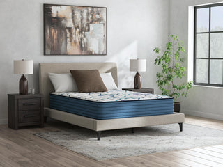 Limited Edition Firm 3.0 Queen Mattress