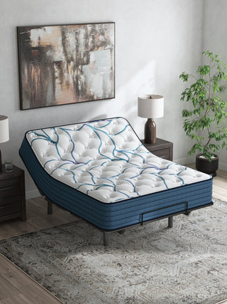 Limited Edition Plush 3.0 Mattress - Twin