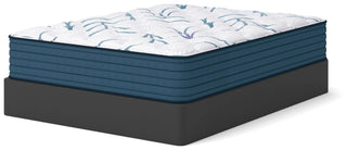Limited Edition Plush 3.0 Queen Mattress