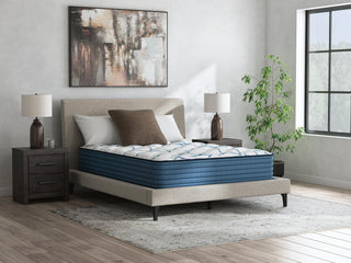 Limited Edition Plush 3.0 Queen Mattress
