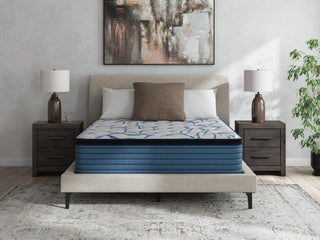 Limited Edition Plush PT 3.0 Queen Mattress