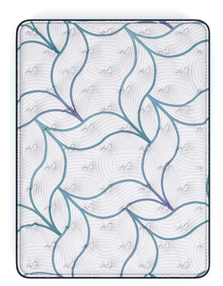 Limited Edition Plush PT 3.0 Queen Mattress