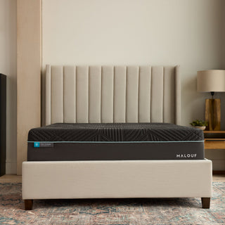 Ice Cloud® 14" CoolSync® Hybrid Mattress