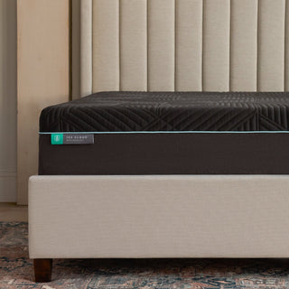Ice Cloud® 14" AeroFlex™ Hybrid Mattress