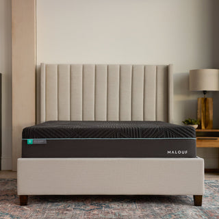 Ice Cloud® 14" AeroFlex™ Hybrid Mattress