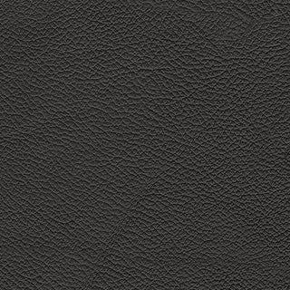 5Z-Comfort PWR REC Sofa with ADJ Headrest Leather