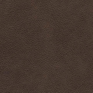 Crossplex PWR Recliner/ADJ Headrest Leather