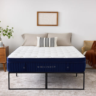 Weekender Modern Platform Bed Frame