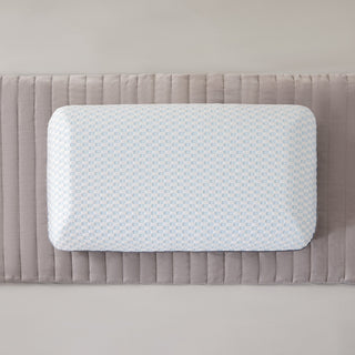 Weekender Bamboo Charcoal Pillow + Cooling Cover