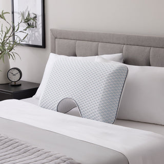 Weekender Bamboo Charcoal Pillow + Cooling Cover