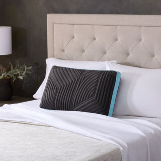 Ice Cloud® + OmniPhase® Pillow