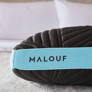 Ice Cloud® + OmniPhase® Pillow