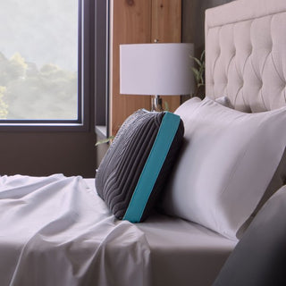 Ice Cloud® + OmniPhase® Pillow