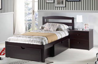 Berkeley Under Bed Storage Chests (2-Drawer Set) - Pecan